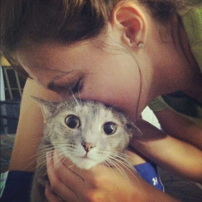 Foto: reddit