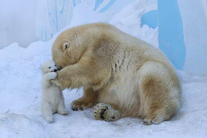 Foto: BoredPanda