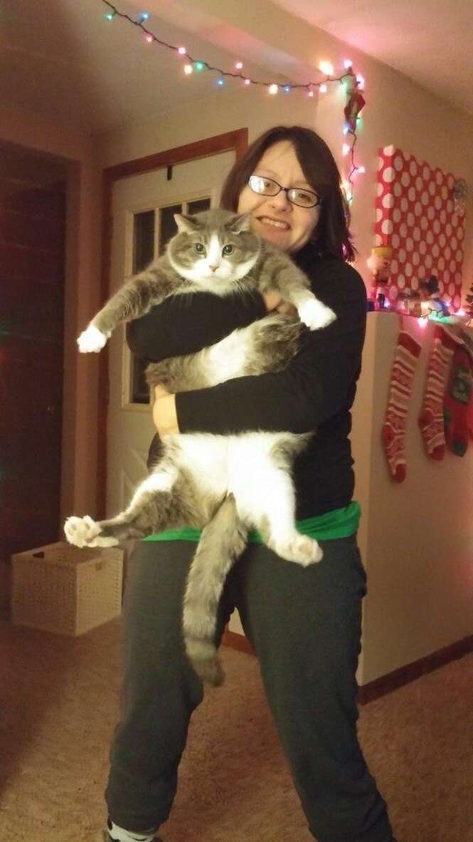 Foto: reddit