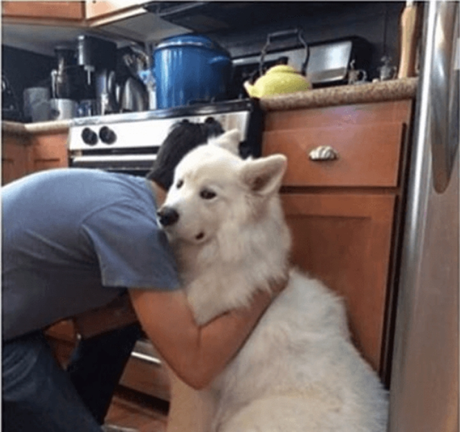 Foto: reddit