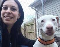 Cão Pit Bull abandonado que foi encontrado quase morto agora não para de sorrir após encontrar lar amoroso