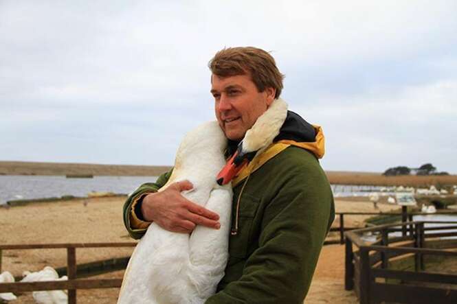 Cisne abraça homem que o salvou e imagem comove internautas