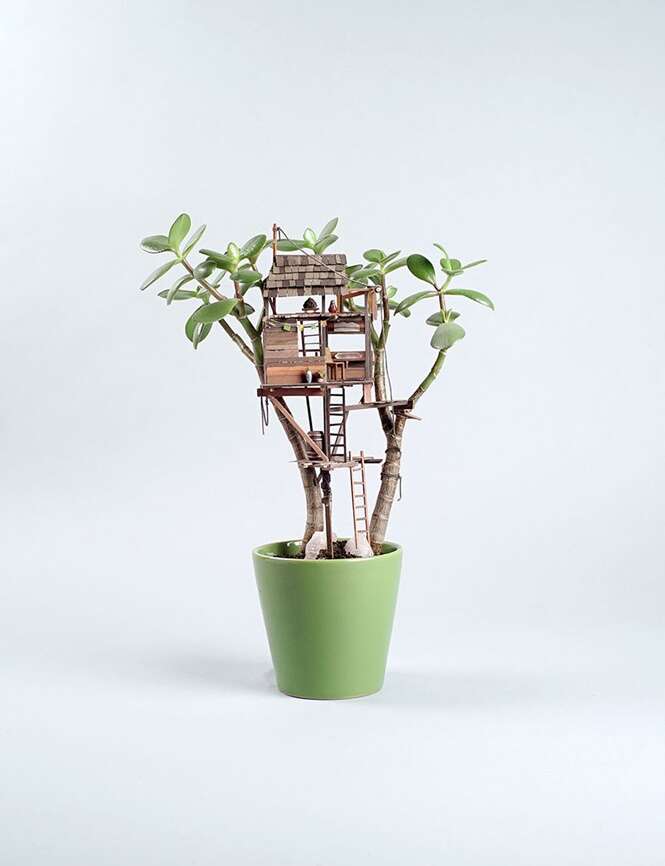Já pensou ter uma casa de árvore no vaso de plantas da sua sala? Já pensou ter uma casa de árvore no vaso de plantas da sua sala?