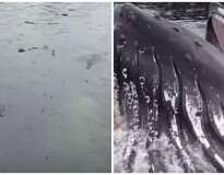 Vídeo impressionante mostra momento em que baleia enorme salta com a boca aberta a centímetros de pescador