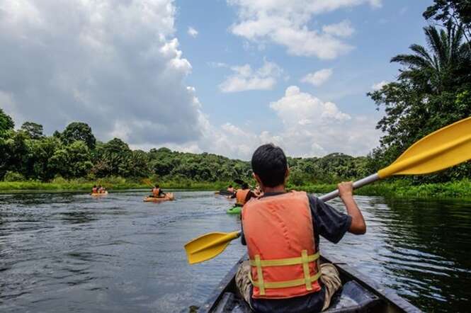 Canoísta leva enorme susto ao se deparar com cobra gigante