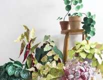 Artista chama atenção criando belas plantas feitas de papel
