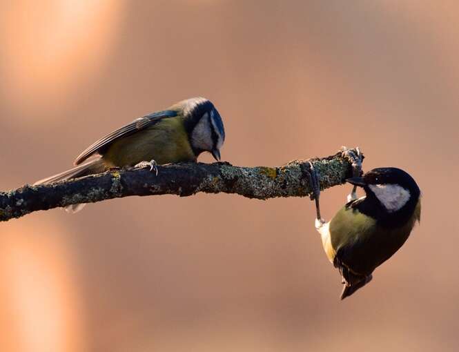 Foto: Getty Images