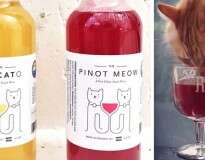 Conheça o vinho feito para gatos