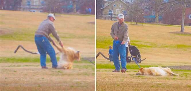 Cãozinho se finge de morto para ficar mais tempo no parque 