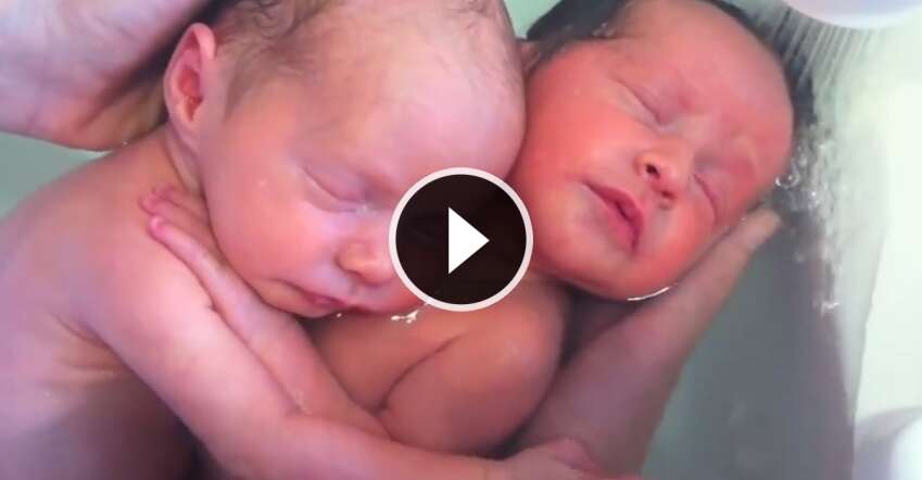 Estes bebês gêmeos nasceram e não perceberam...