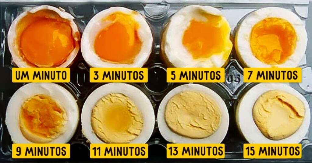 Experimento culinário revela ponto ideal para cozinhar um ovo