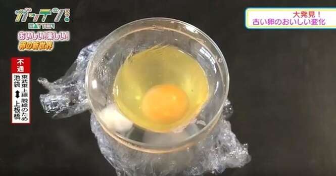 Estudantes japoneses fazem pintinho chocar a partir de ovo sem casca em experimento bizarro
