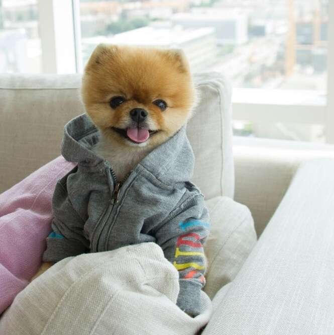 Foto: jiffpom