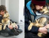 20 cães fiéis que não abandonaram seus donos nem nas piores situações