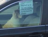 Cão é deixado sozinho dentro de carro com aviso pedindo para que as pessoas não quebrassem a janela