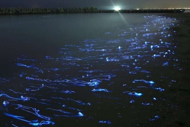 Foto: Takehito Miyatake