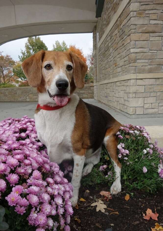 Foto: Happy Dog Barkery