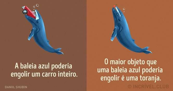 Mitos sobre animais que ainda acreditamos que são verdadeiros