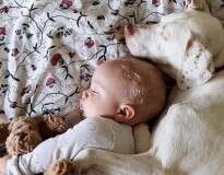 Série de fotos de cão e bebê dormindo juntos vai derreter seu coração