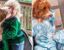 Cão e bebê combinam visual e se tornam sensação na internet