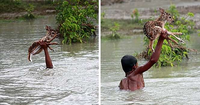 Fotos que vão restaurar sua fé na humanidade