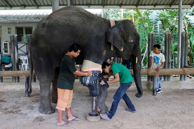 Foto: Athit Perawongmetha - Reuters