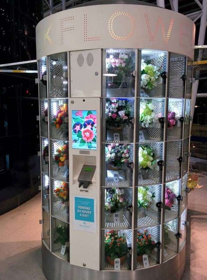 Foto: tudointeressante