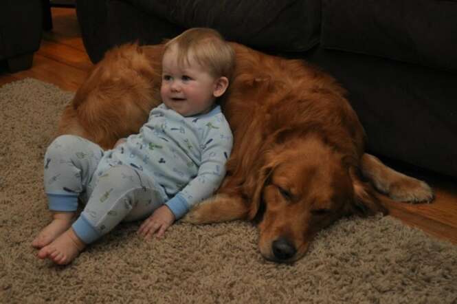 Foto: imgur