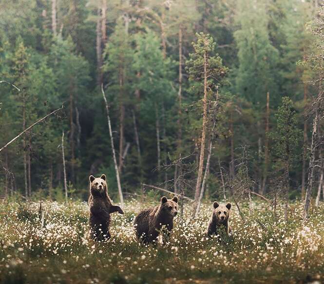 Foto: kpunkka