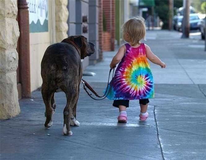 Foto: blog.petsy
