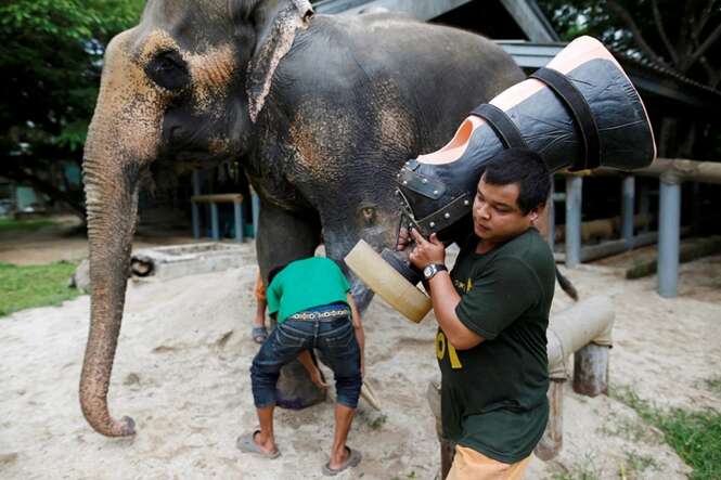 Foto: Athit Perawongmetha - Reuters