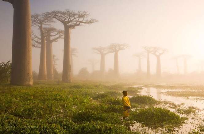 Fotografia: Marsel van Oosten