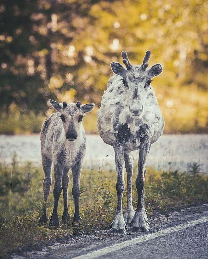 Foto: kpunkka