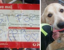 Carteiro escreve cartas para residência quando não há correspondência apenas para fazer cão feliz