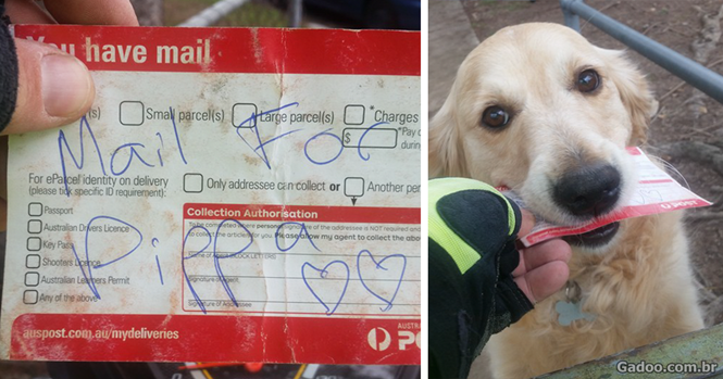 Carteiro escreve cartas para residência quando não há correspondência apenas para fazer cão feliz