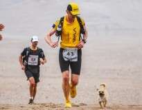 Cão de rua acompanha atleta em longa maratona e acaba sendo adotado pelo esportista