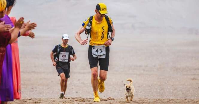 Cão de rua acompanha atleta em longa maratona