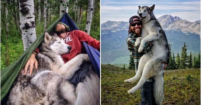 Esse cara viaja o mundo com seu cão porque não pode suportar deixá-lo preso