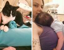 Este gato se apaixonou por um bebê antes de nascer, e agora não desgruda da criança
