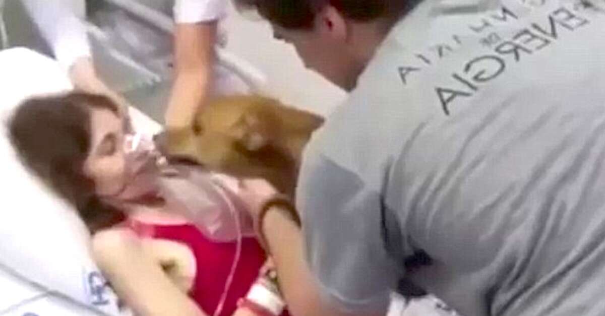 Mulher doente terminal realiza último desejo antes de partir: rever seu cão de estimação