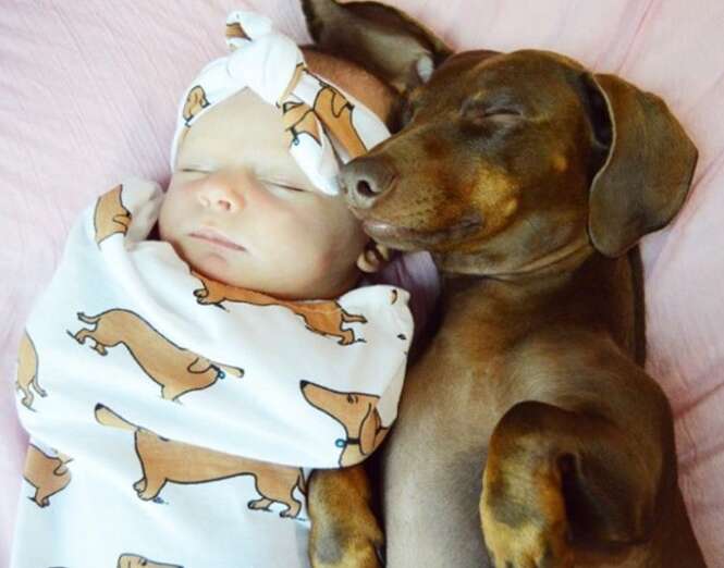 Razões provando que as crianças que crescem com cães são mais felizes