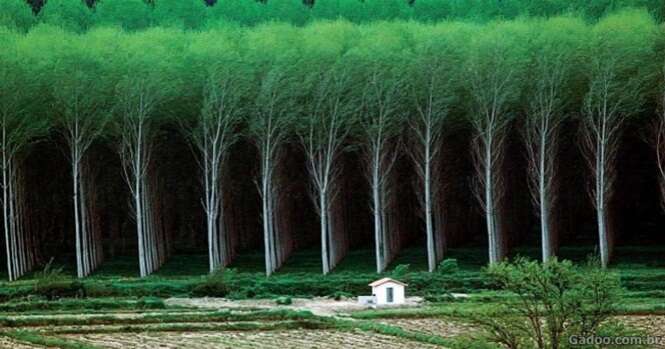 Fotos impressionantes mostrando quão enorme e fascinante é nosso planeta