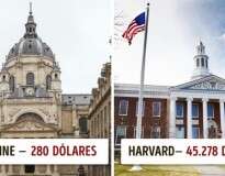 Quanto você gastaria para estudar nas melhores universidades do planeta