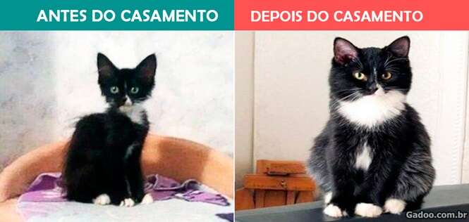 Imagens hilárias mostrando o antes e depois do casamento