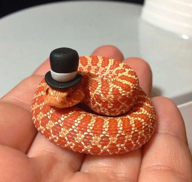 Foto: Tudo Interessante
