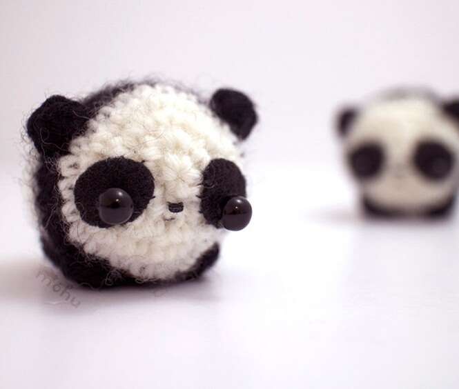 Foto: Bored Panda