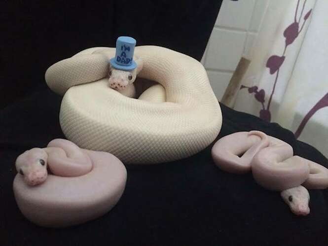 Foto: Tudo Interessante