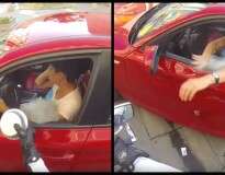 Motorista joga lixo pela janela de carro… então motociclista lhe dá uma lição