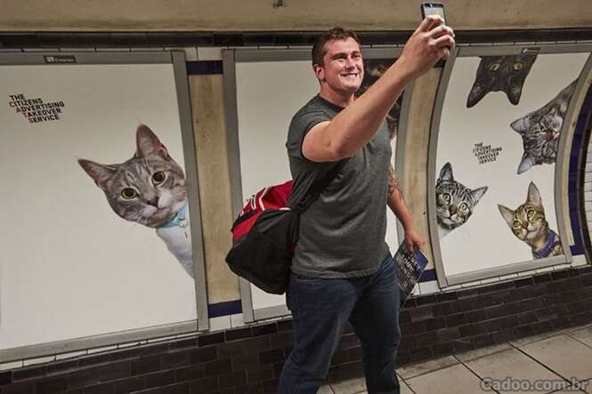 Estação de metrô em Londres amanhece repleta de fotos de gatinhos