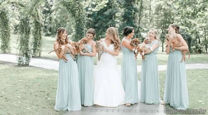 Esta noiva optou por suas damas de honra segurarem cães em vez de buquês